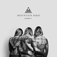 Mountain Bird – Cosmos I