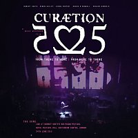 The Cure – Curaetion-25: From There To Here | From Here To There [Live]