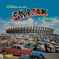 Skank – Multishow Ao Vivo - Skank no Mineirao