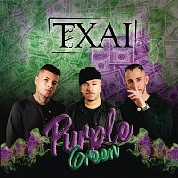 Přední strana obalu CD Purple Green