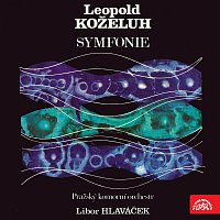 Pražský komorní orchestr, Libor Hlaváček – Symfonie F dur, g moll