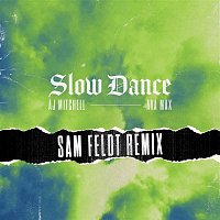 AJ Mitchell, Ava Max – Slow Dance (Sam Feldt Remix)