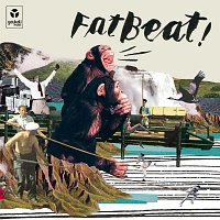 Přední strana obalu CD Fatbeat!