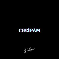 Přední strana obalu CD CHCÍPÁM