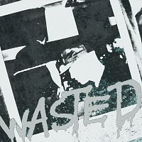 dev soter, STEFAN THEV – WASTED