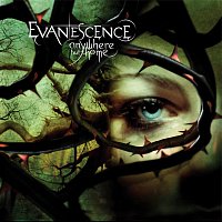 Evanescence – Anywhere But Home [Live]