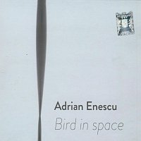 Adrian Enescu – Bird in space
