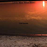 Timid Operetta – Little Man What Now