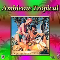 Různí interpreti – Colección de Oro: Ambiente Tropical, Vol. 2