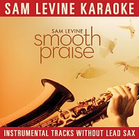 Sam Levine Karaoke - Smooth Praise