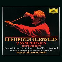 Beethoven: 9 Symphonies