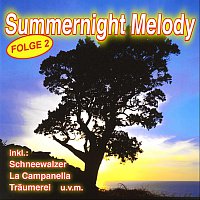 Přední strana obalu CD Summernight Melody - Folge 2