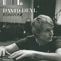 David Deyl – Hlavolam FLAC