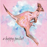 The Trash Can Sinatras – A Happy Pocket