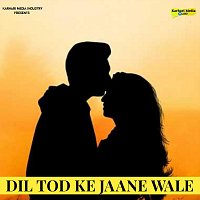Různí interpreti – Dil Tod Ke Jaane Wale