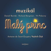 Přední strana obalu CD Malý princ (Original Cast Recording 2022)