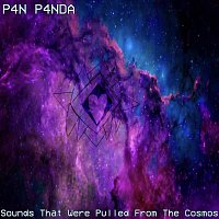 P4N P4NDA – Sounds That Were Pulled from the Cosmos
