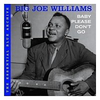 Big Joe Williams – Baby Please Don't Go