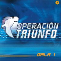 Operación Triunfo [OT Gala 1 / 2002]