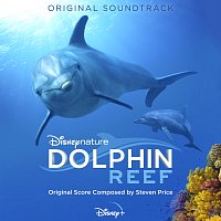 Přední strana obalu CD Dolphin Reef [Original Soundtrack]