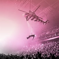 Přední strana obalu CD mainstream sellout [life in pink deluxe]