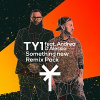 TY1, Andrea D'Alessio – Something New [Remix Pack]