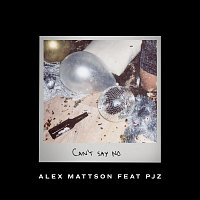 Alex Mattson, PJZ – Can't Say No