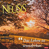 Přední strana obalu CD Das Leben ist wunderbar