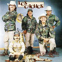 Přední strana obalu CD Dos Acordeones