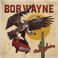 Bob Wayne – Fairground in the Sky