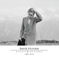 David Sylvian – A Victim Of Stars 1982-2012