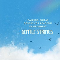 Různí interpreti – Gentle Strings: Calming Guitar Covers for Peaceful Environment