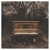 Nel Swerts – Melancholie