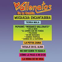 Los Vallenatos De La Cumbia – Muchacha Encantadora