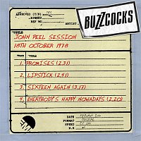 Buzzcocks – John Peel Session (18th October 1978)