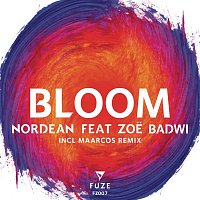 Bloom