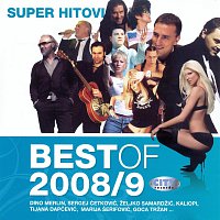 Různí interpreti – Best of 2008/09