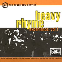 The Brand New Heavies – Heavy Rhyme Experience Vol. 1