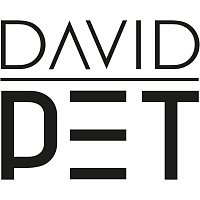 David PET – Vše je jak má být MP3