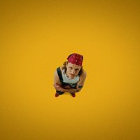 shymczyk – WILKI