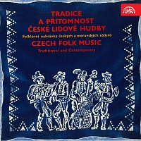 Různí interpreti – Tradice a přítomnost české lidové hudby
