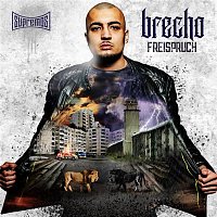 Přední strana obalu CD Freispruch