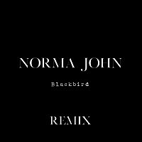 Blackbird [Remix]