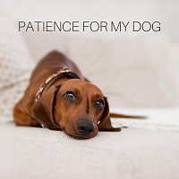 Přední strana obalu CD Patience for My Dog
