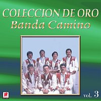 Banda Camino – Colección De Oro, Vol. 3