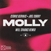 Cedric Gervais & Joel Corry – MOLLY (Will Sparks Remix) [Extended Mix]