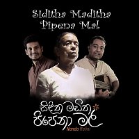 Přední strana obalu CD Siditha Maditha Pipena Mal