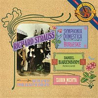 Přední strana obalu CD Strauss: Symphonia Domestica & Burleske