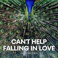 Joanie Loves Chachi – Can’t Help Falling in Love