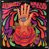 Shaboozey – Break The Band (How Could She?)